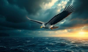 Albatroz