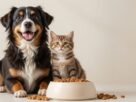 Ração para Cães e Gatos